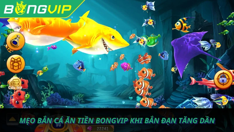 ban-ca-an-tien-bongvip-4