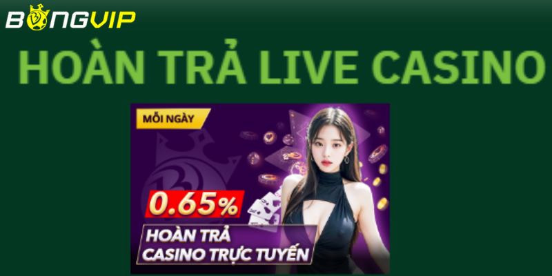 hoàn trả casino trực tuyến